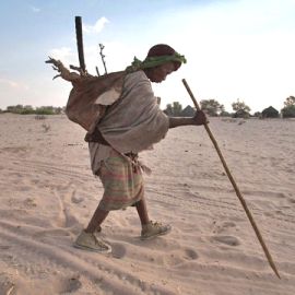 Navigating Human-Wildlife Conflict in the Kalahari Desert